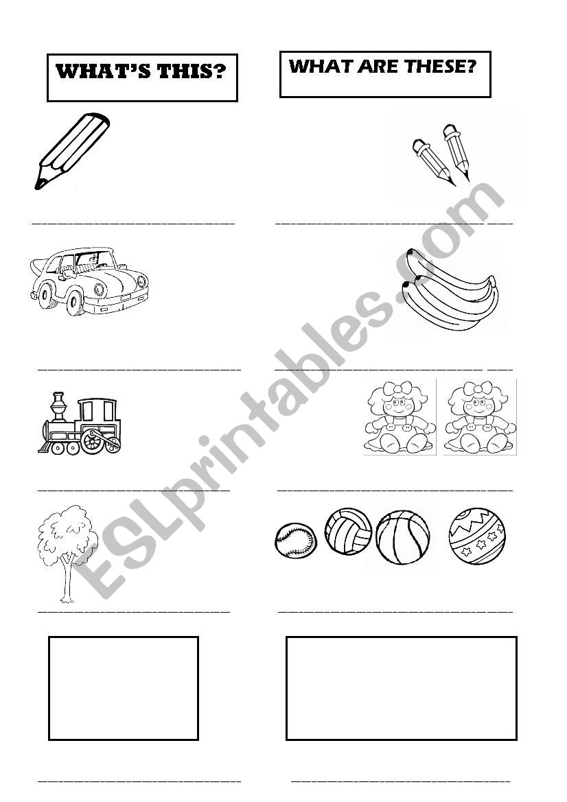 Whats this /What are these ? worksheet