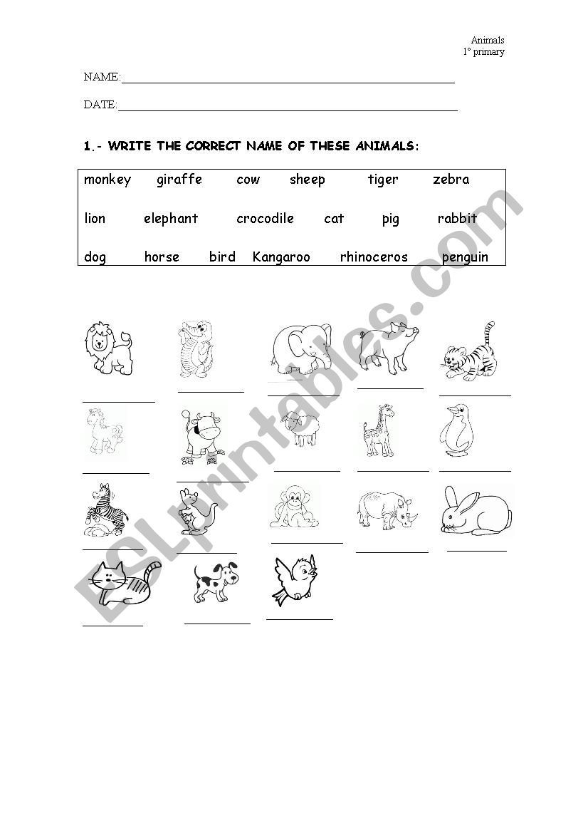 ANIMALS worksheet