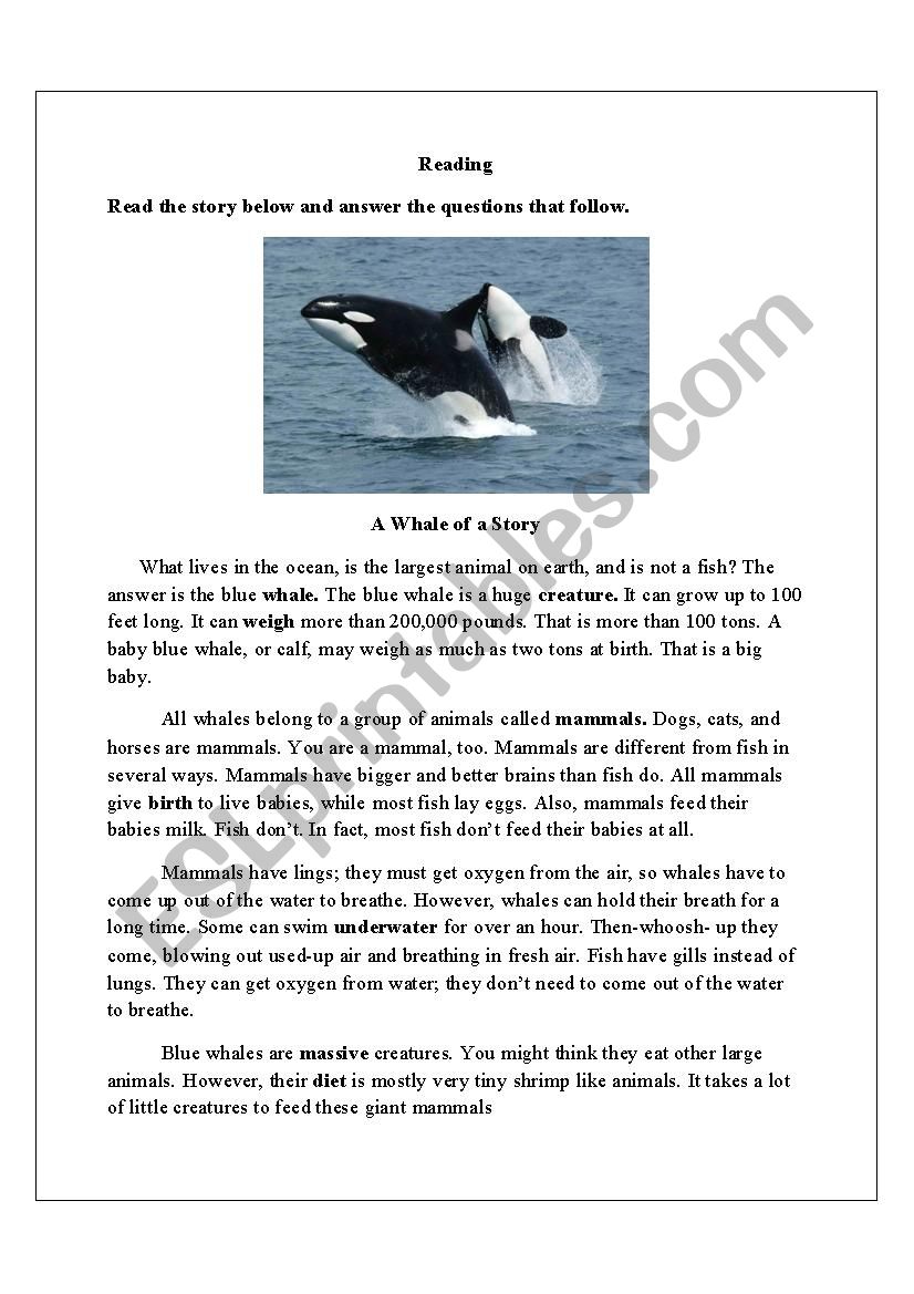 A Whale worksheet