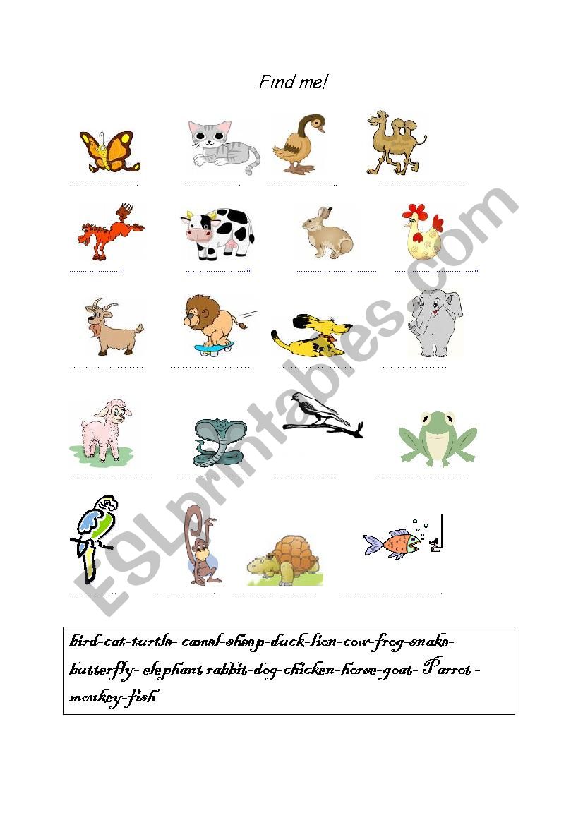 Animals worksheet