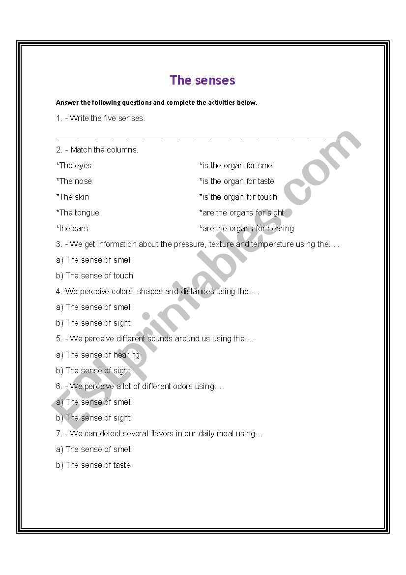 the senses  worksheet