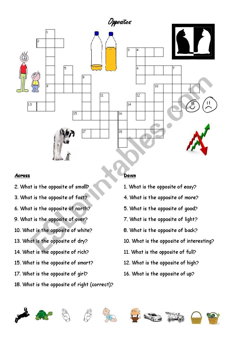 Opposites Practice worksheet