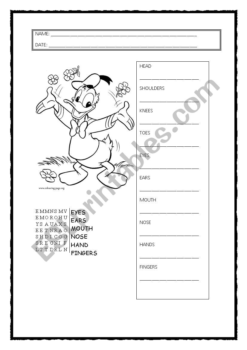 PARTS OF THE BODY WITH DONALD worksheet