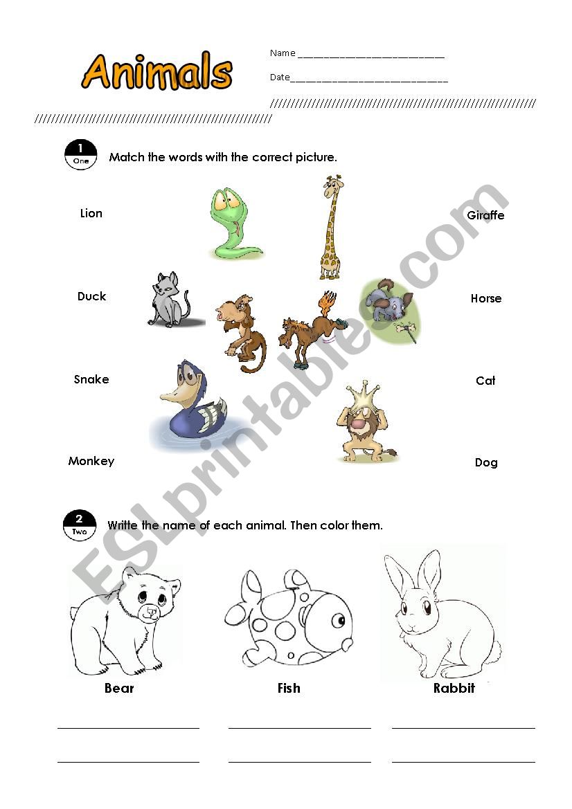 Animals worksheet