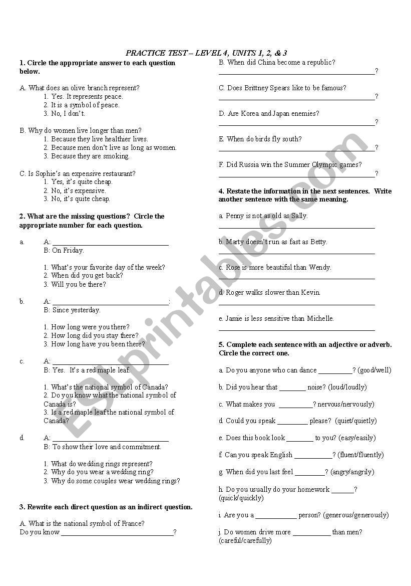 Practice Test Level 4 worksheet