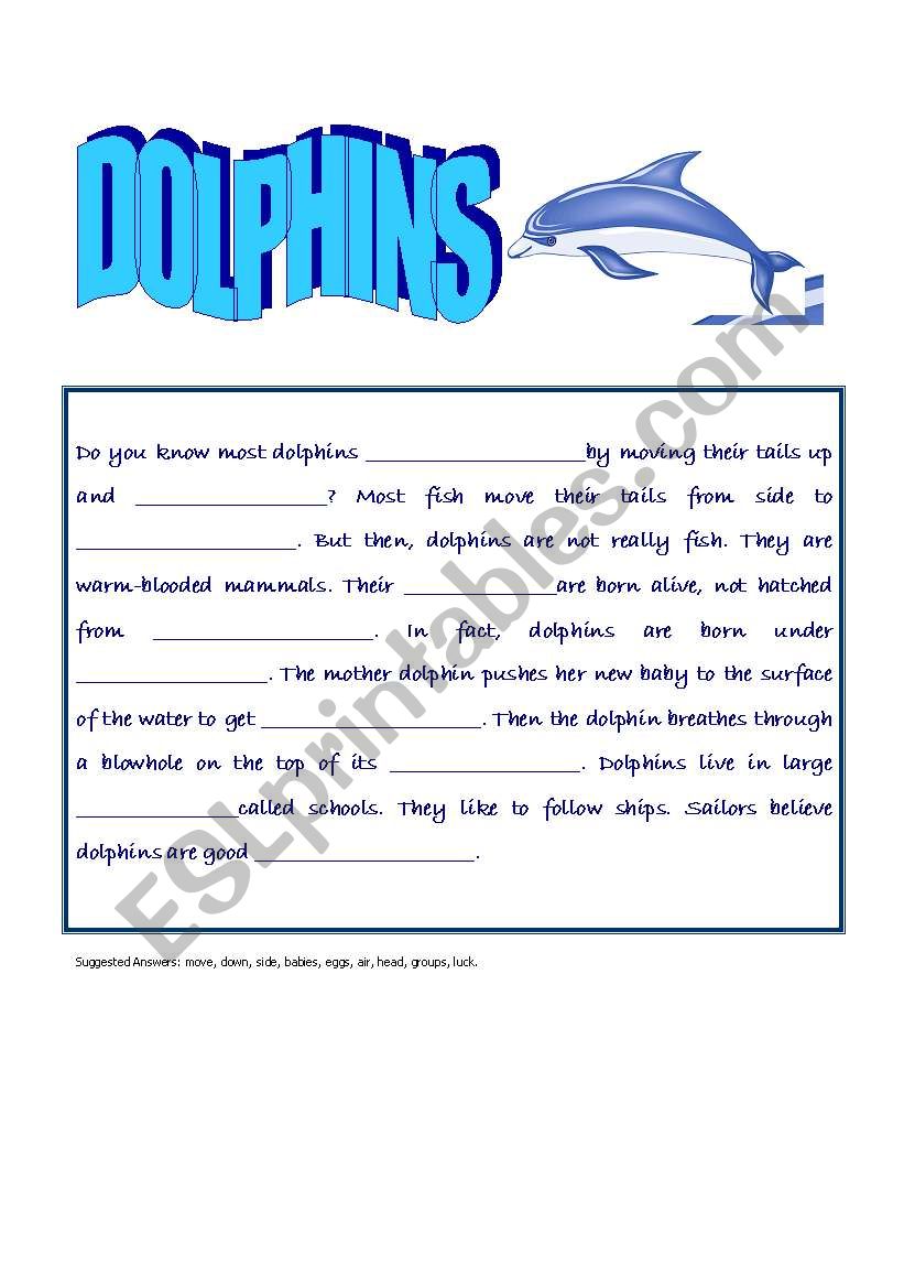 Dolphins Closure worksheet