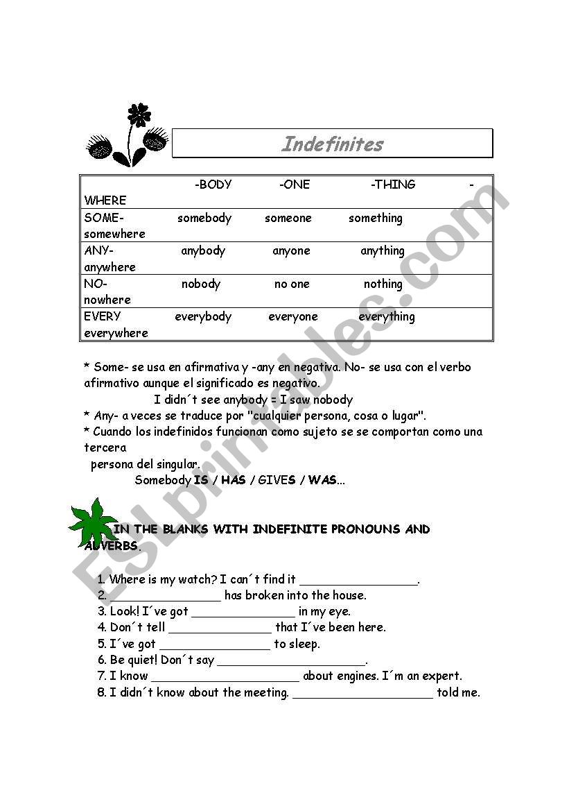 indefinites worksheet