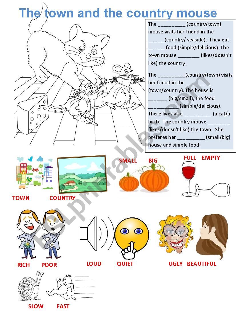 The country and town mouse worksheet