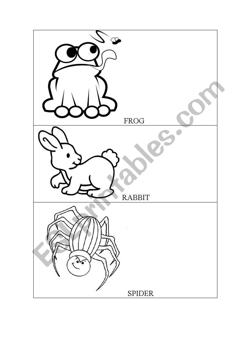 animals worksheet