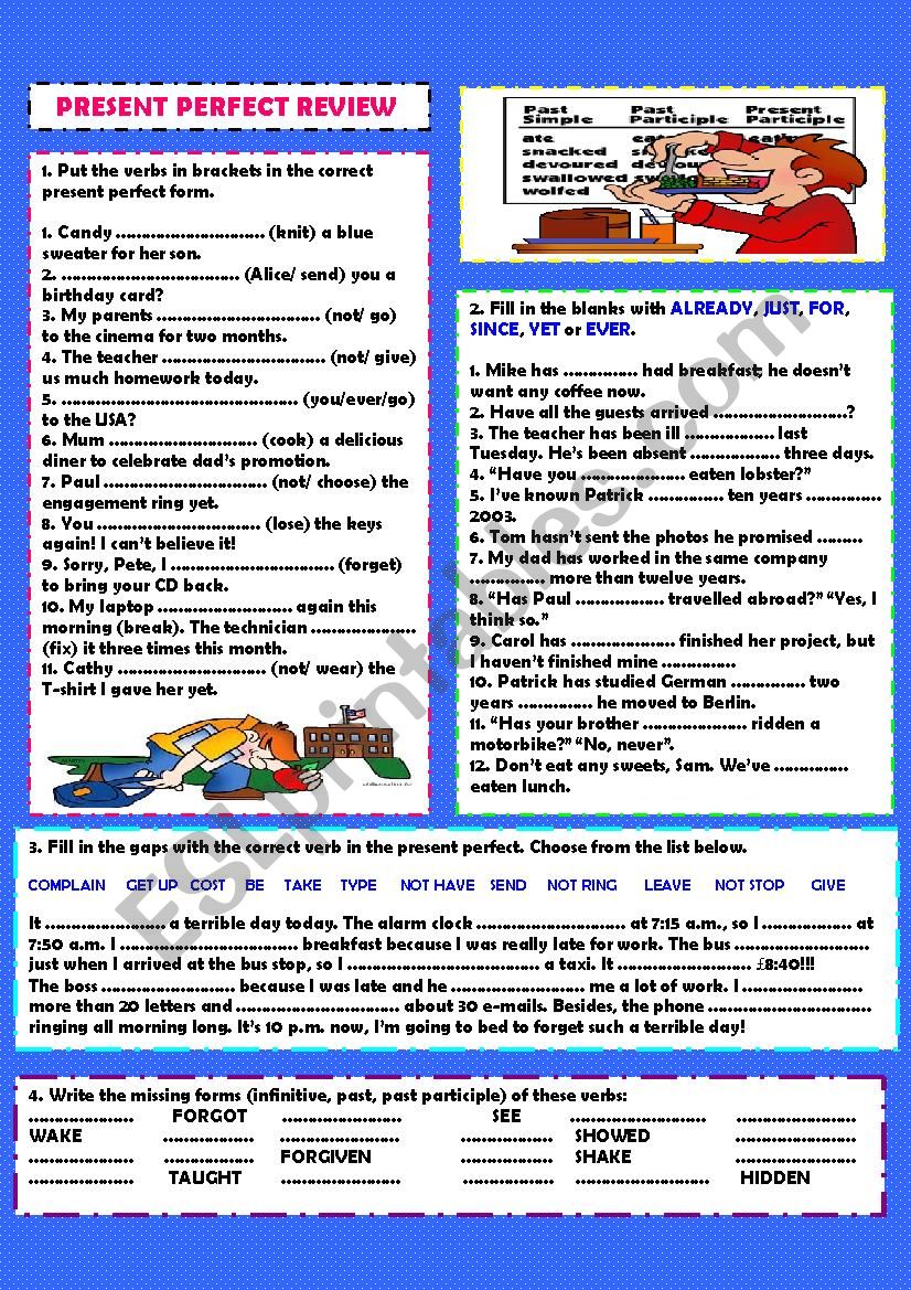 Present perfect review +  key worksheet