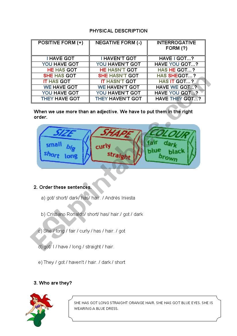 Physical description worksheet