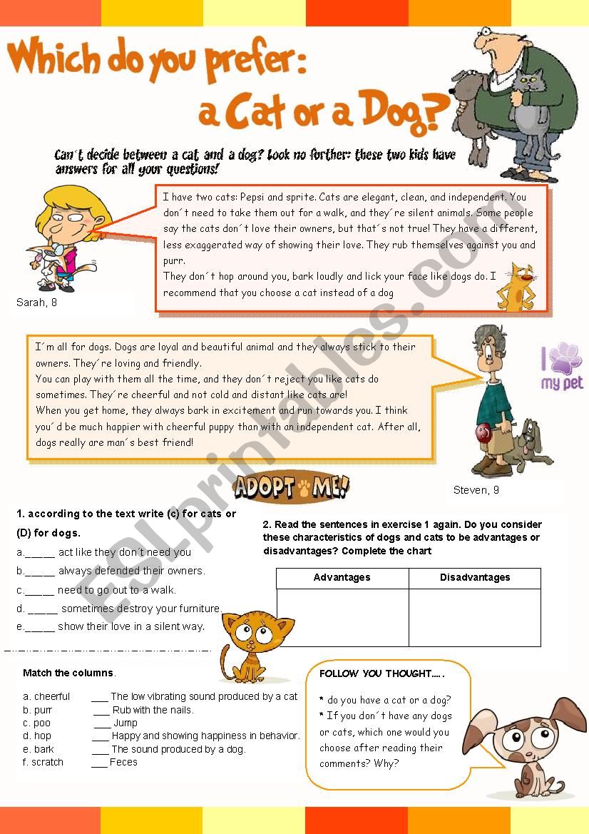 Which do you prefer: a cat or a dog? Activites for kids Comprehension
