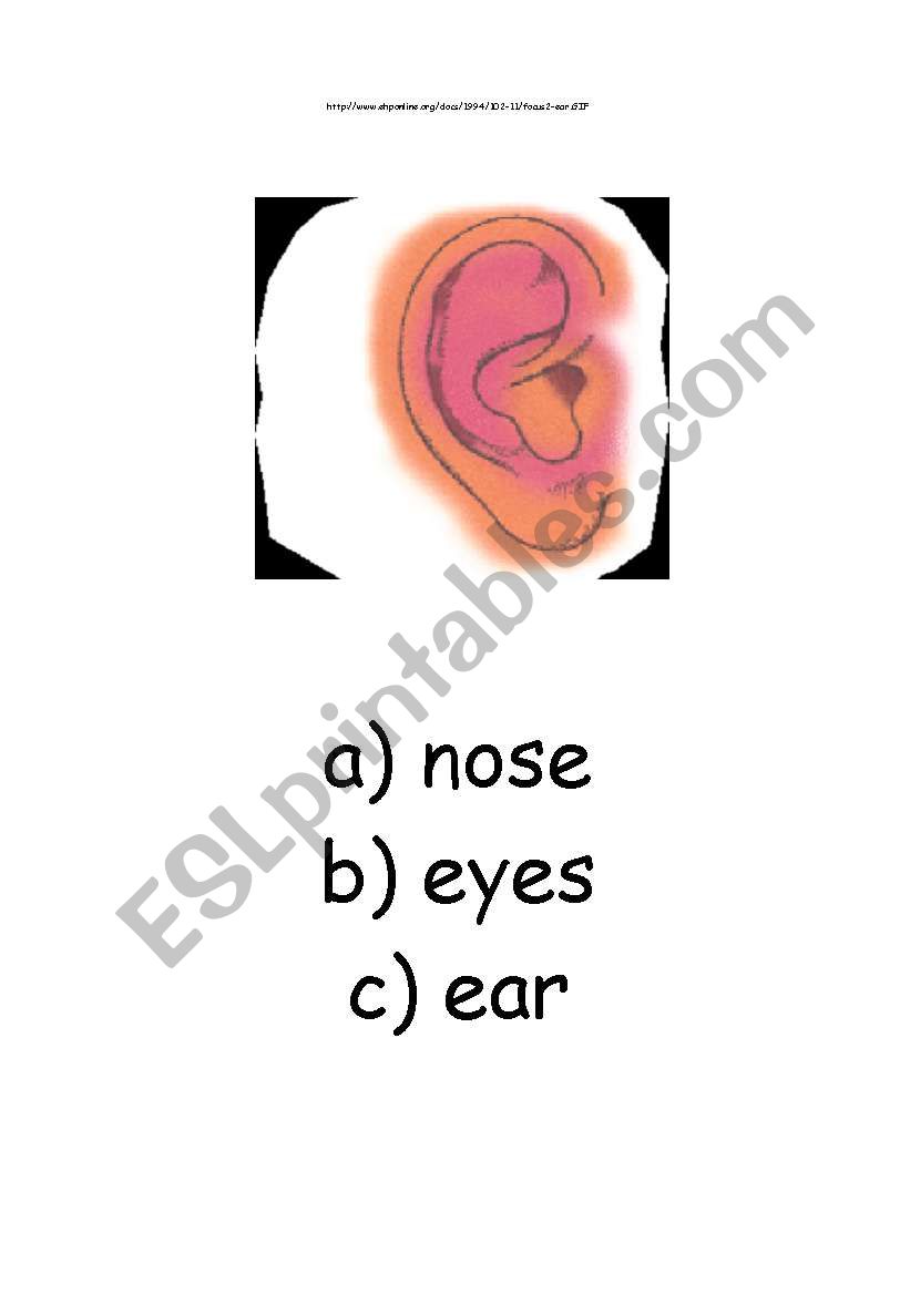 ear worksheet