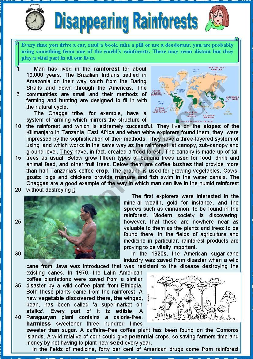 DISAPPEARING RAINFOREST.  Reading + varied comprehension ex + Key and teachers extras