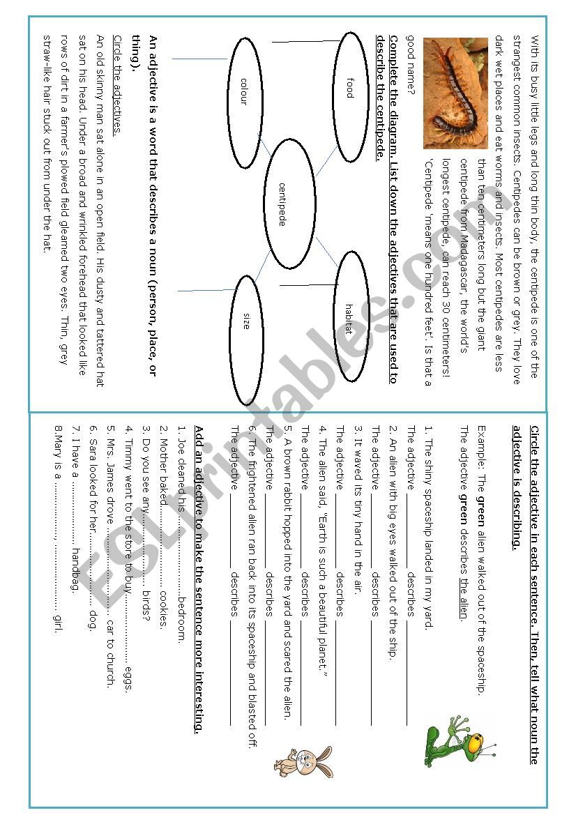 adjectives worksheet