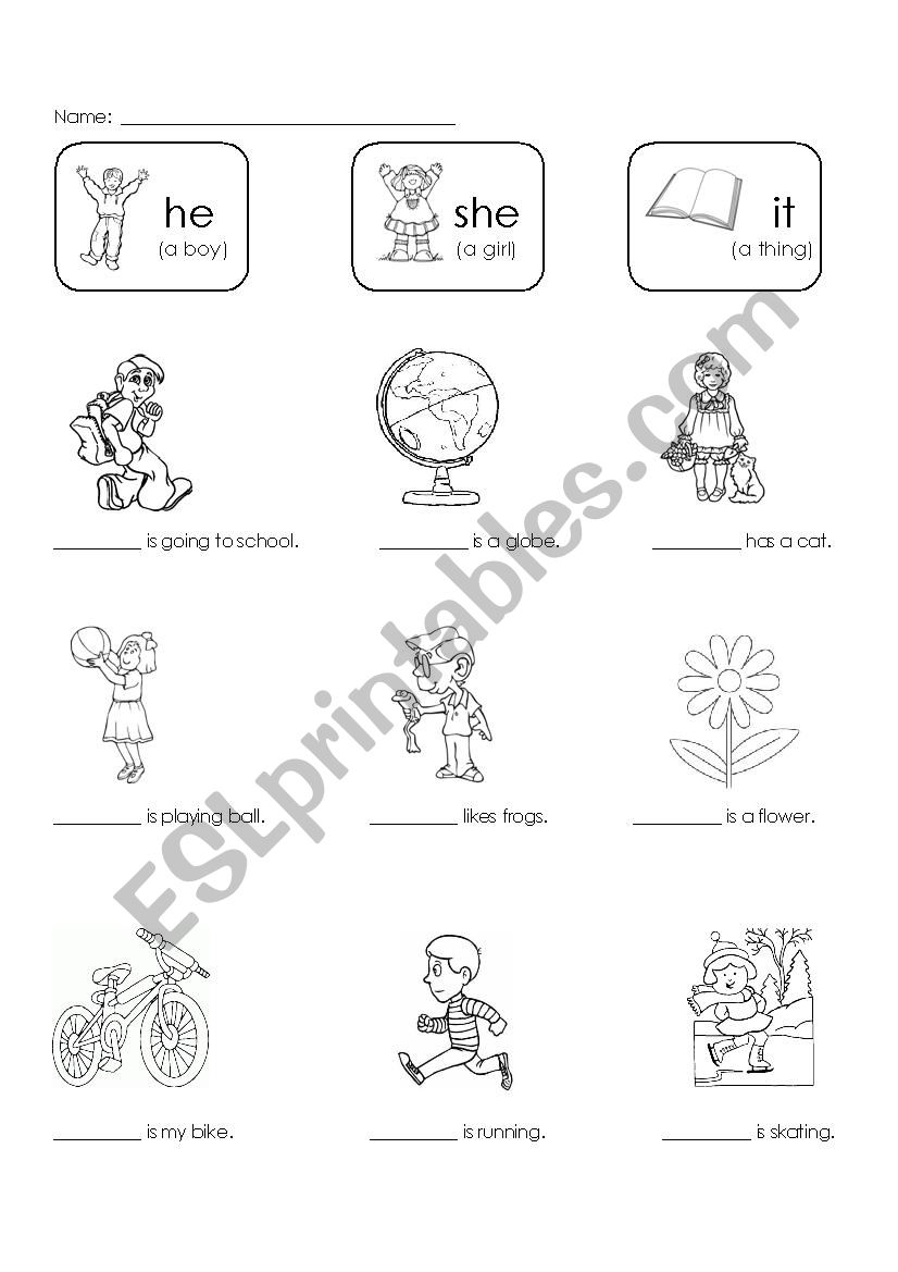 He - She - It worksheet