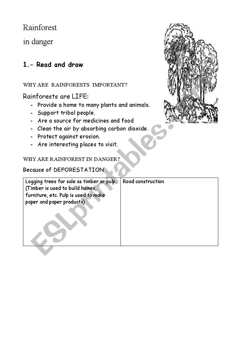 Rainforest in danger worksheet