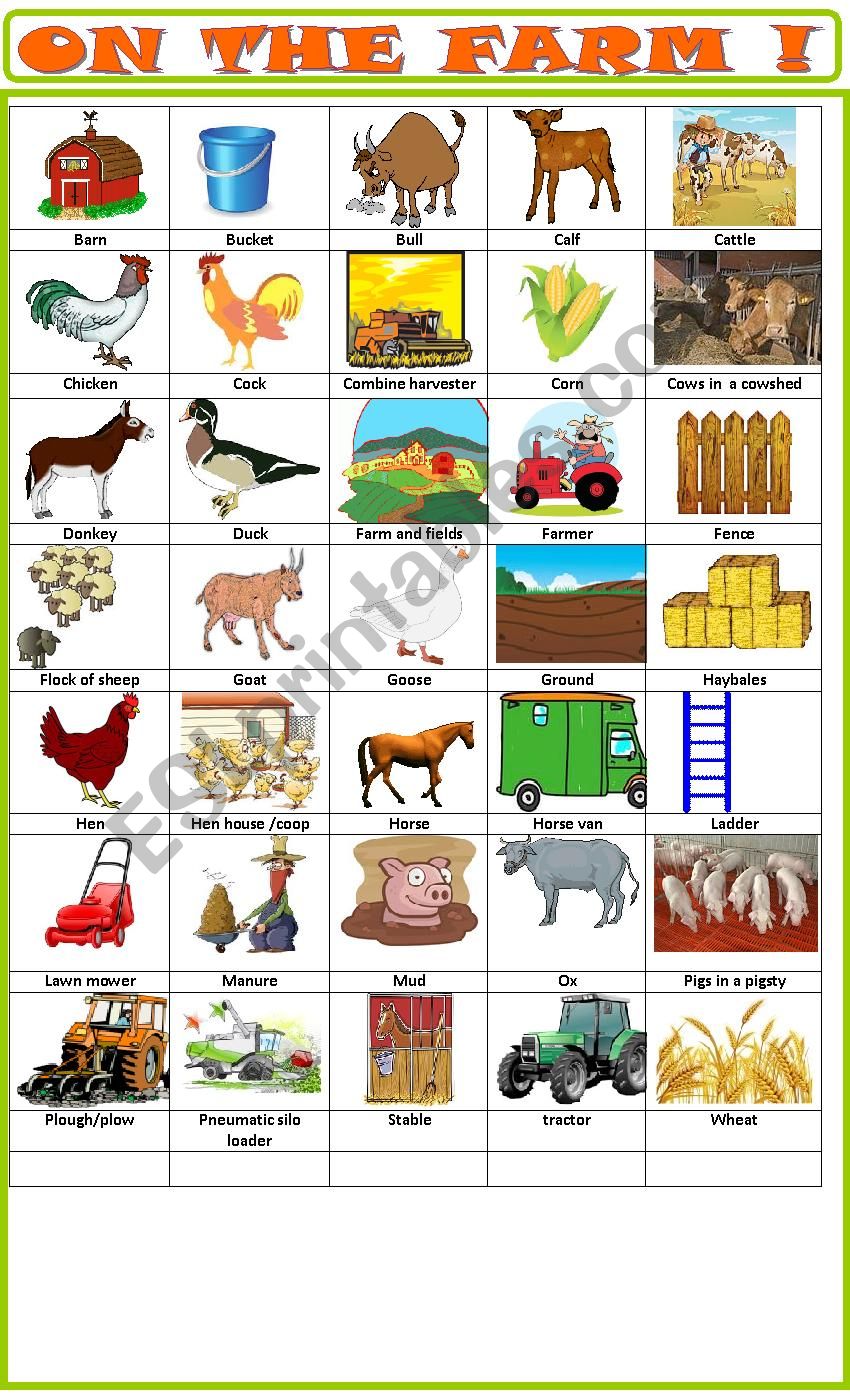 Farm :pictionary worksheet