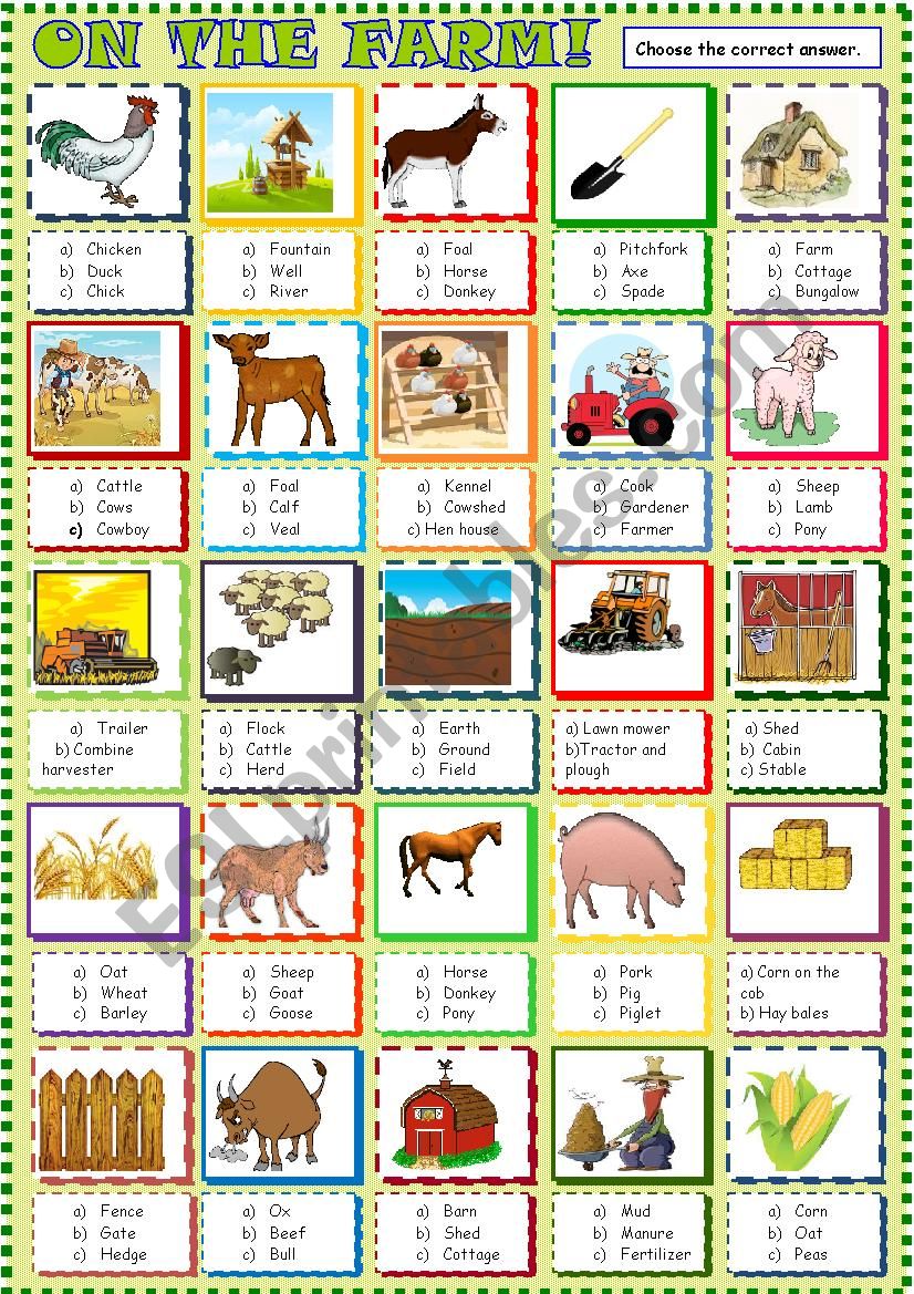 Farm :multiple choice activity