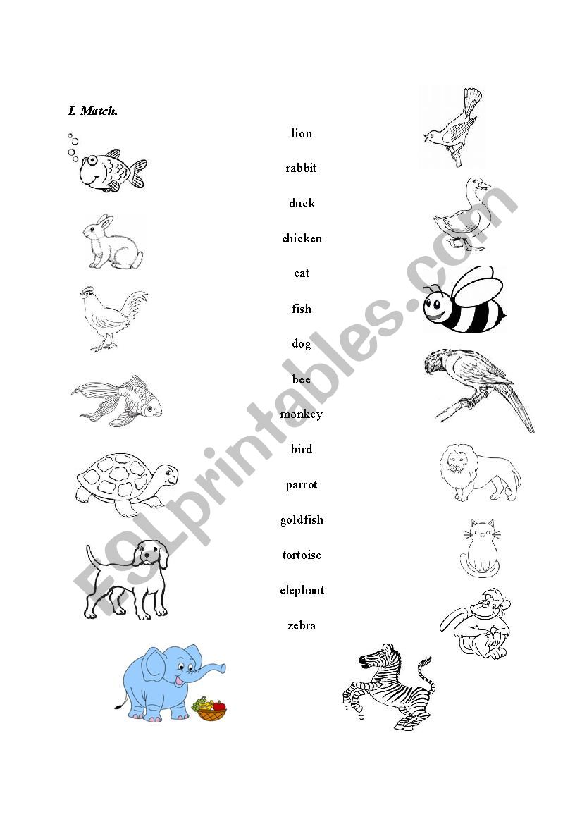 Animals exercise worksheet