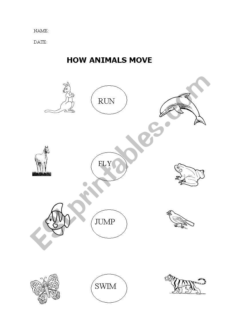 Animals move worksheet