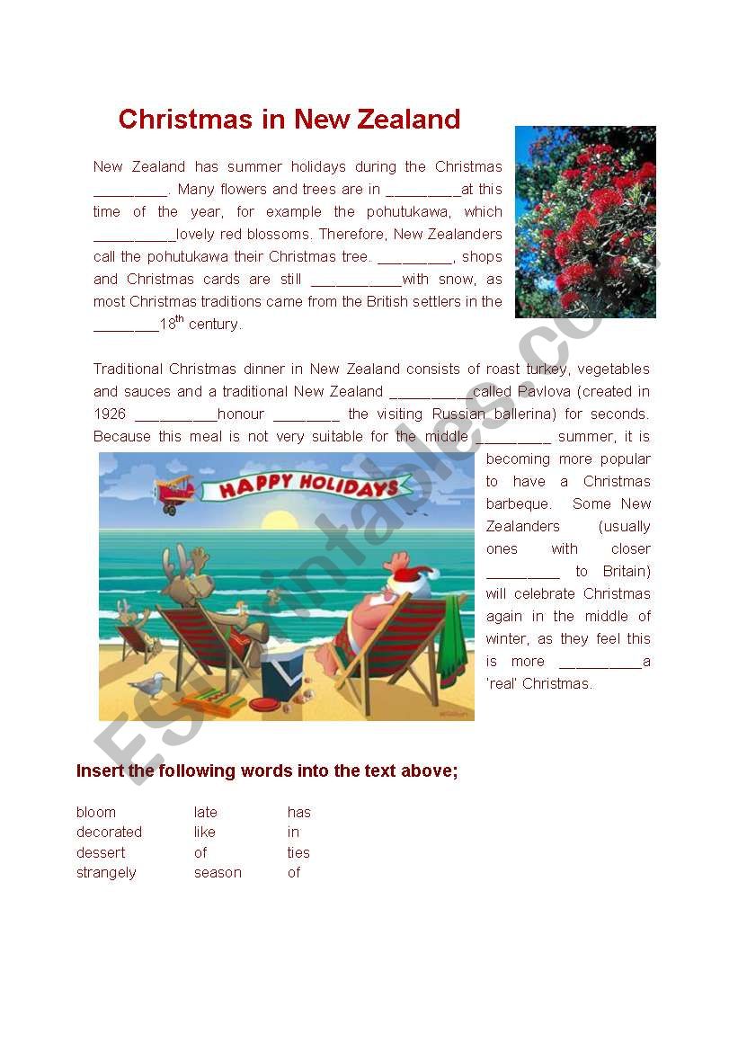 Christmas in New Zealand worksheet