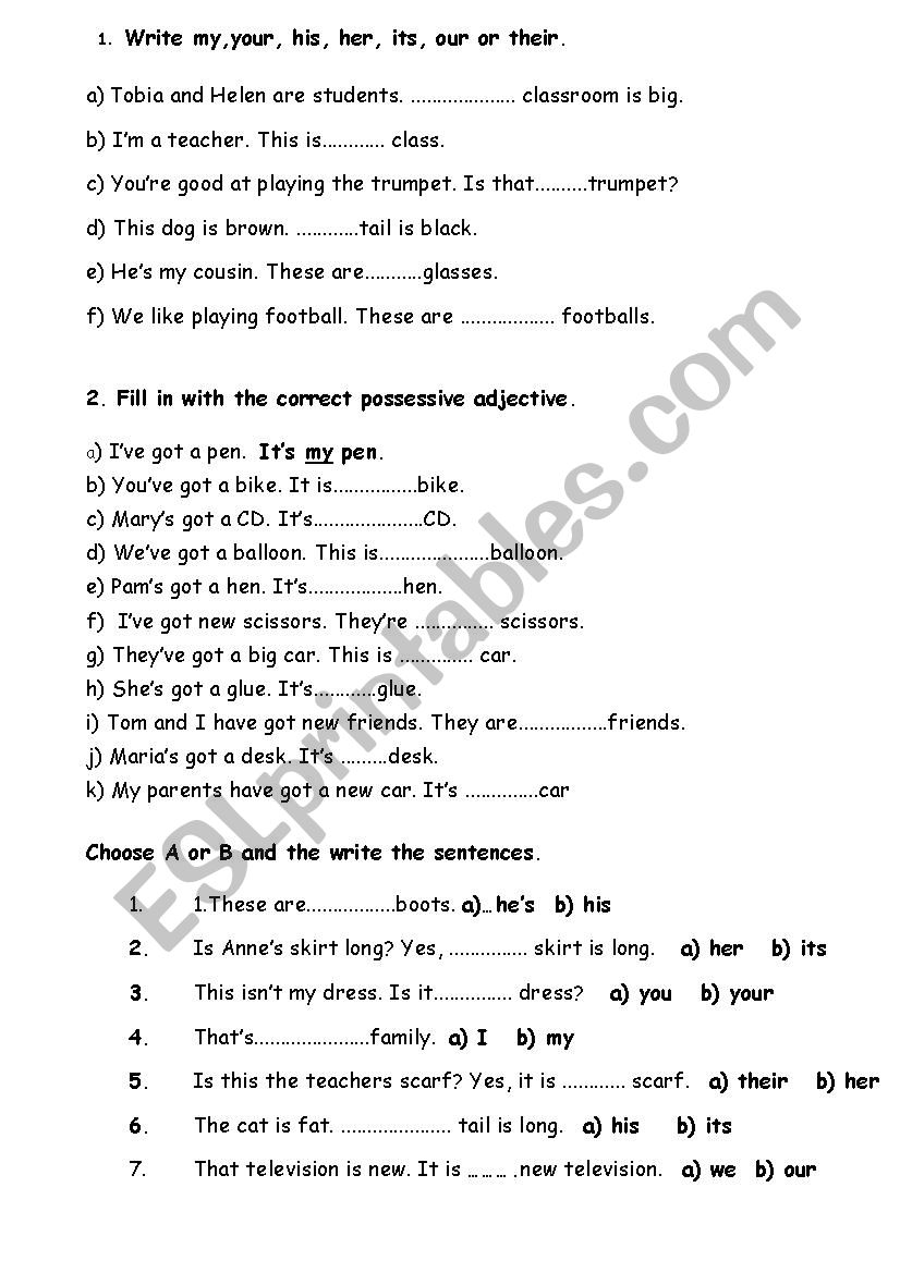 POSSESSIVE ADJECTIVES worksheet