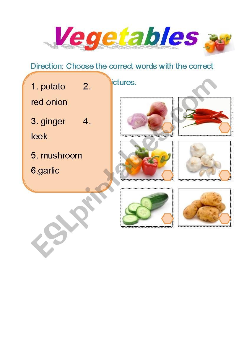 vegetable vocabulary worksheet