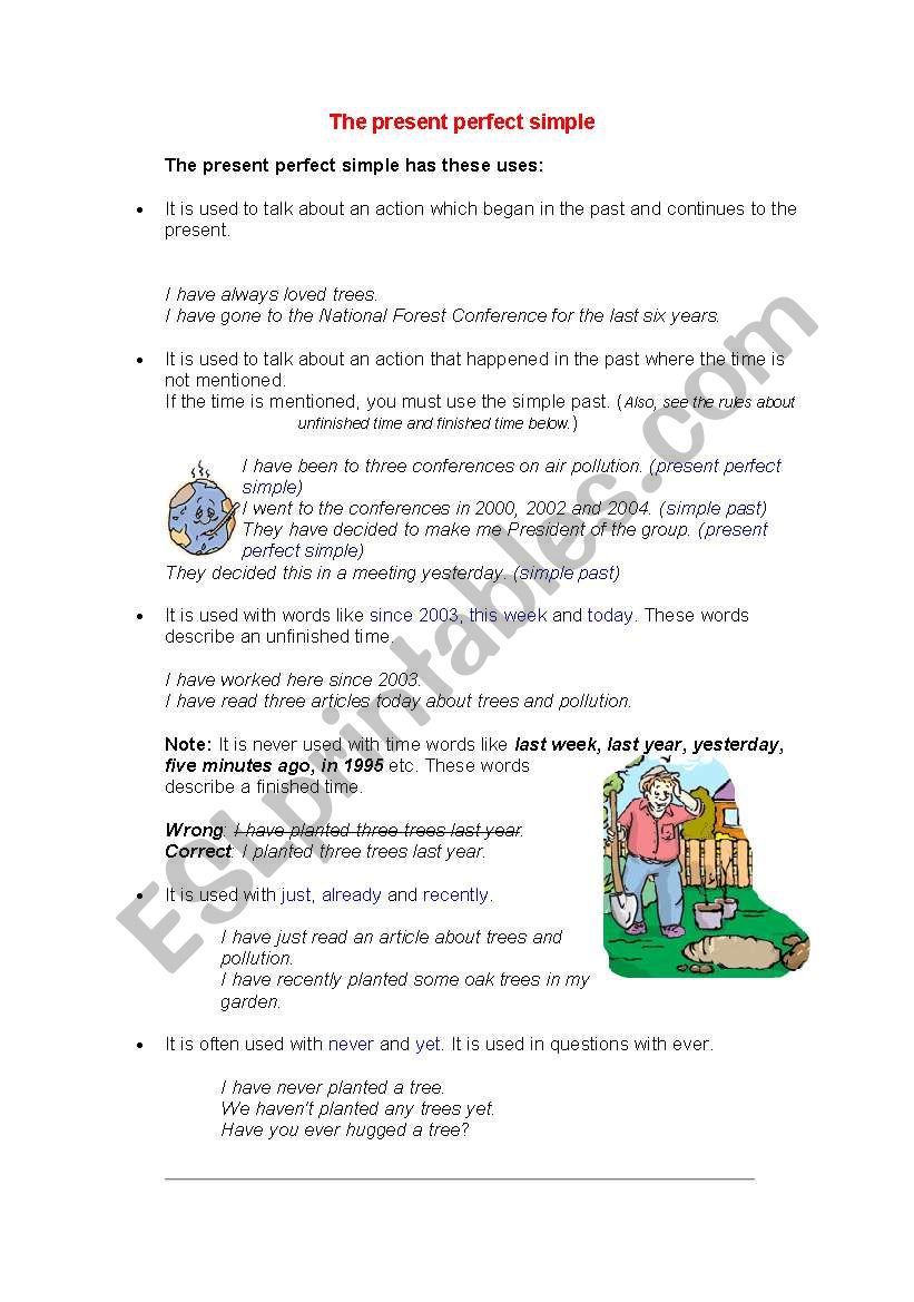 Present Perfect theory and practice