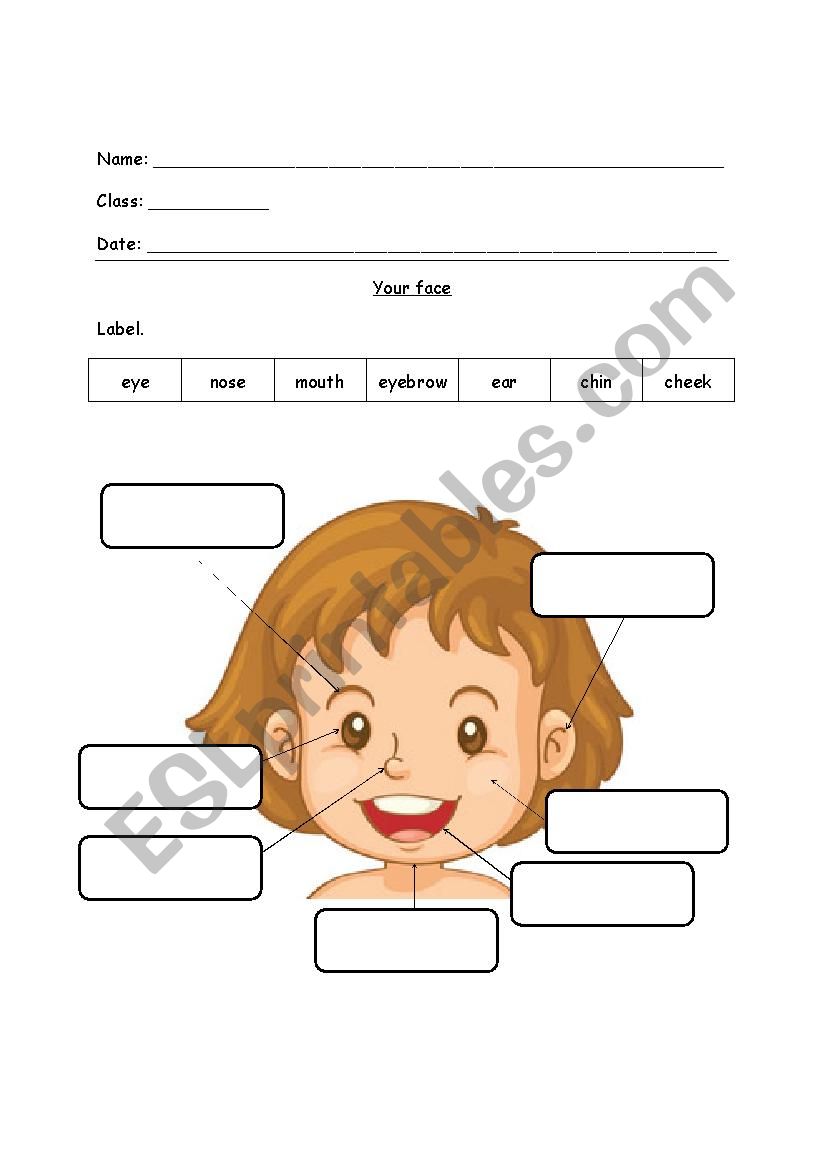 Your face worksheet