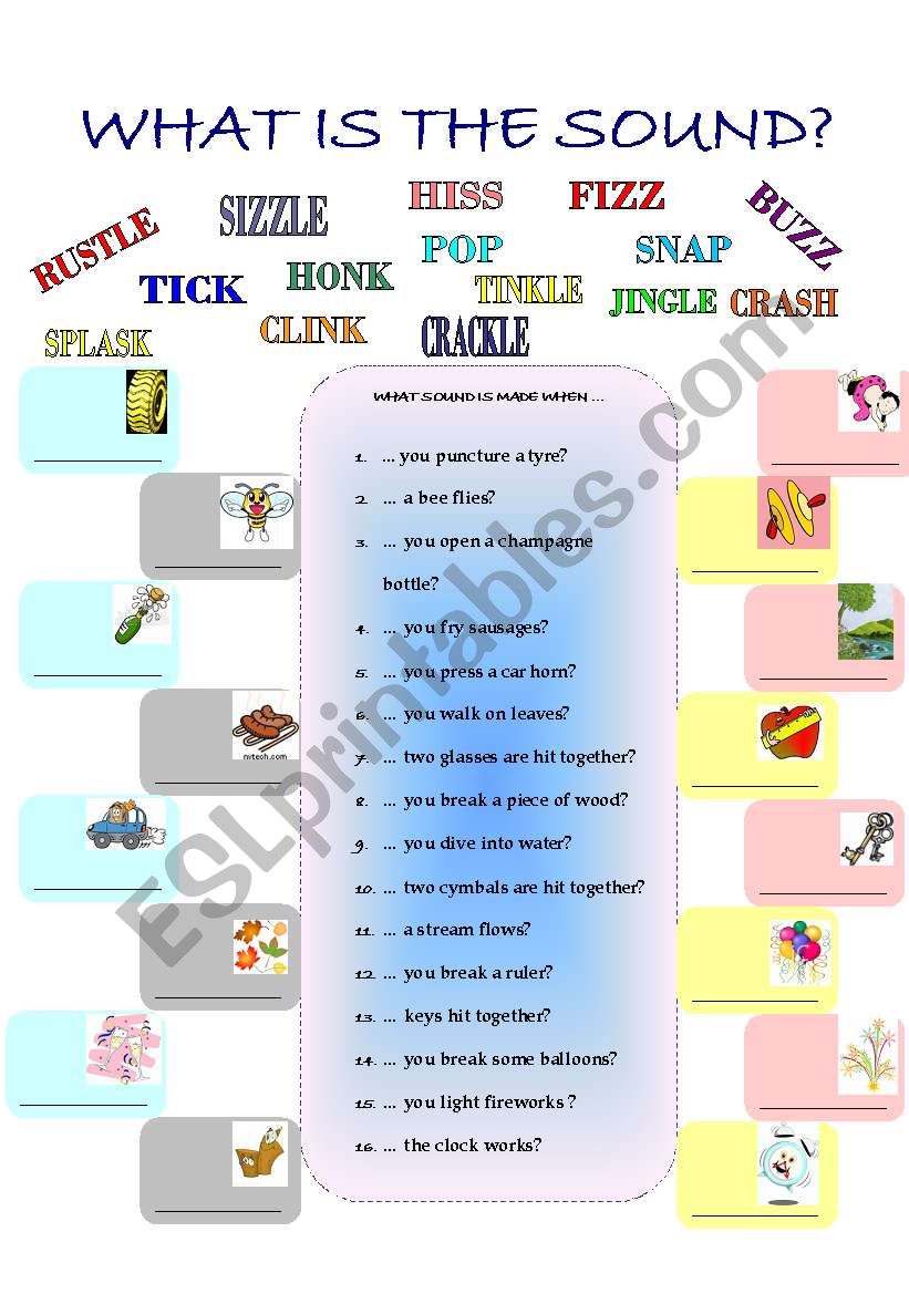 WHAT IS THE SOUND? worksheet