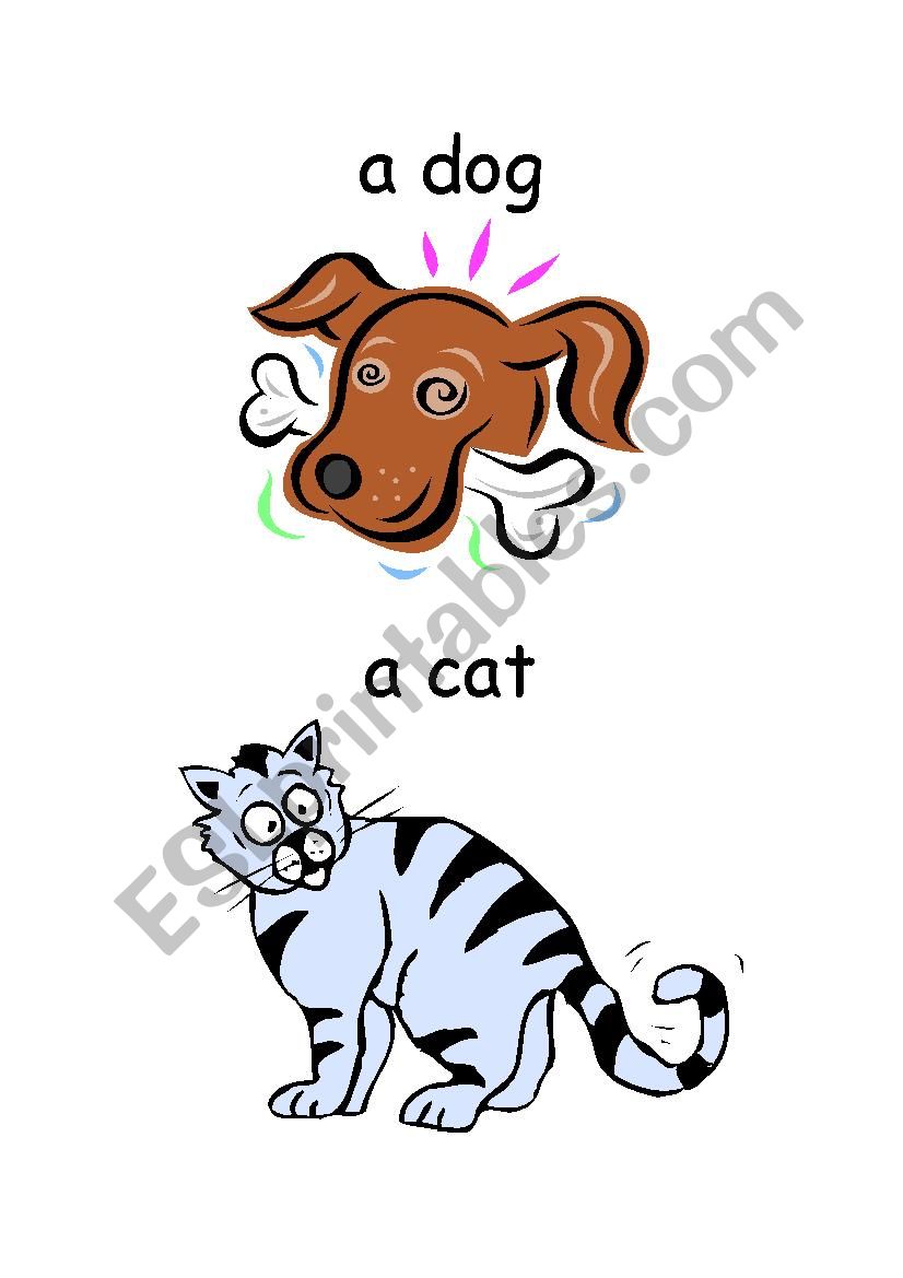 animals flashcards worksheet