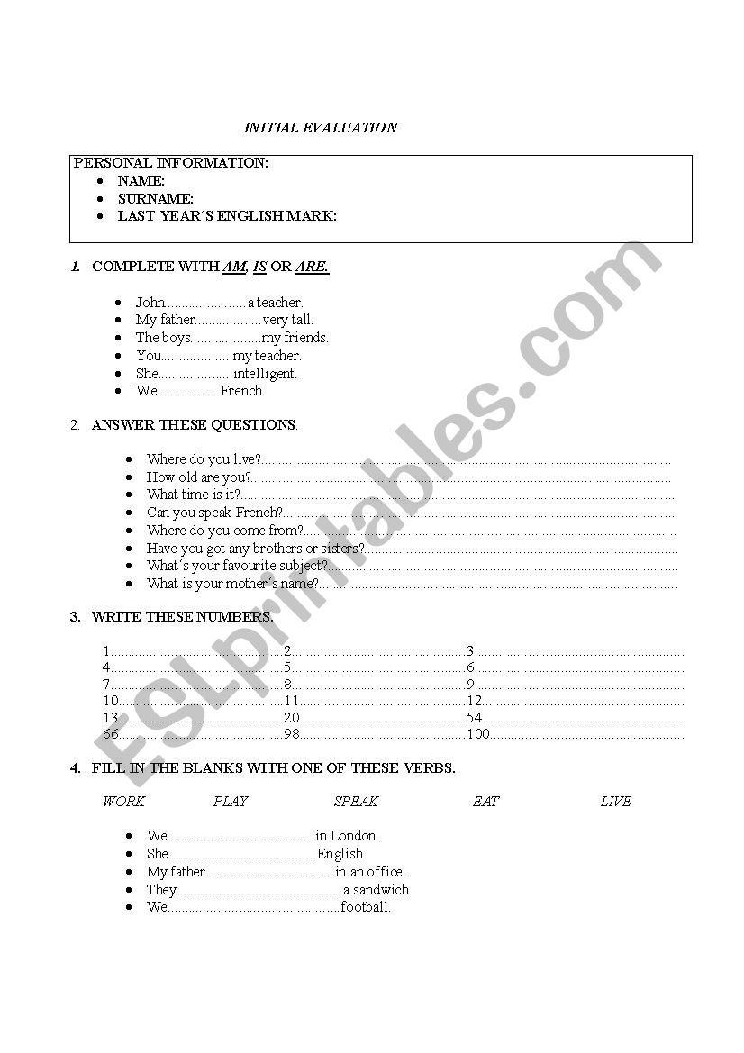 Initial assessment worksheet