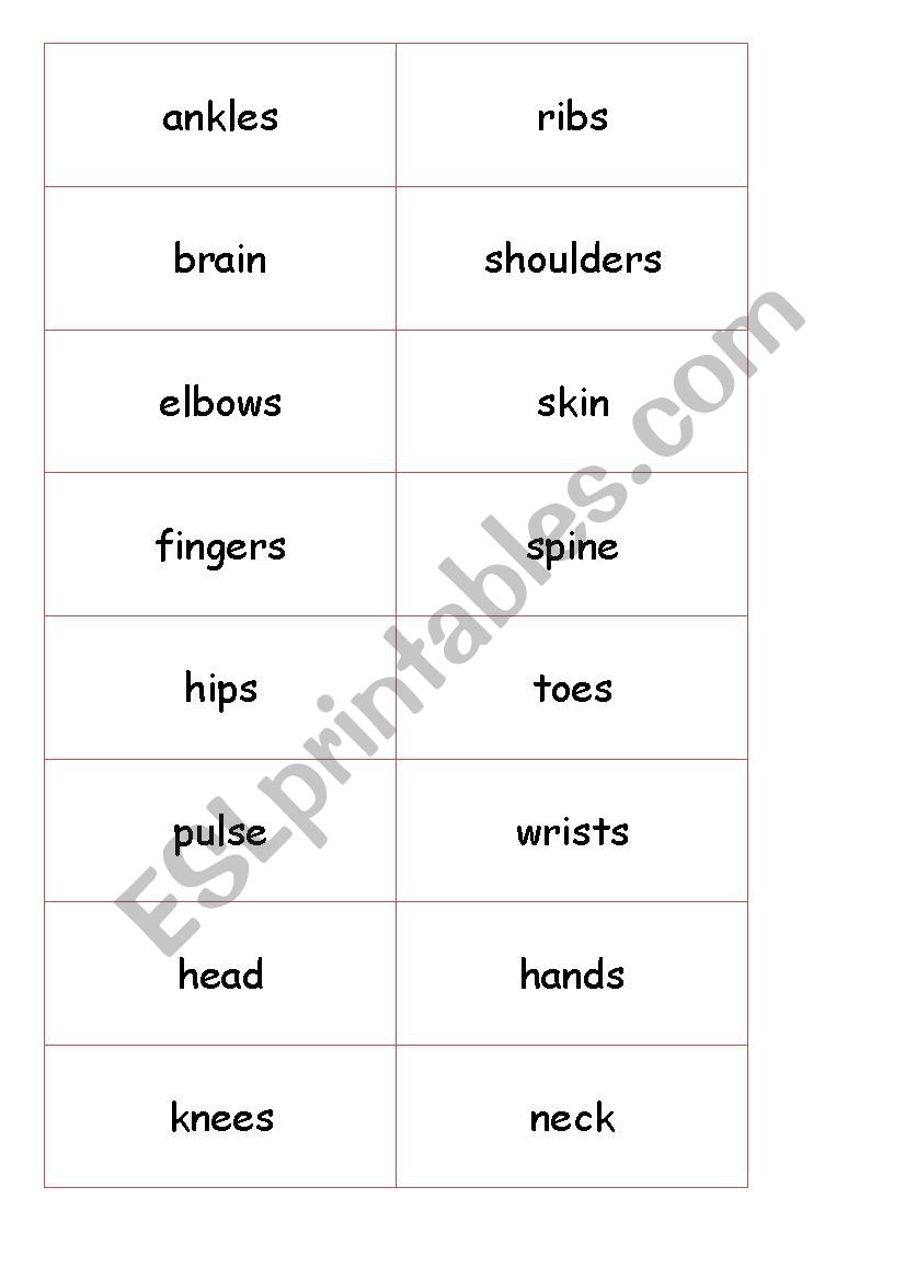 Body Parts Game worksheet