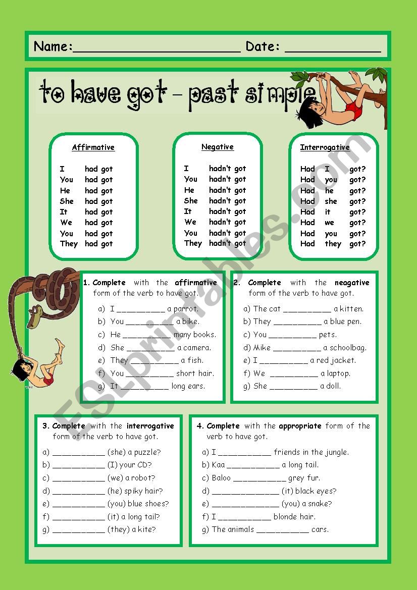 Verb to have (got) - past simple