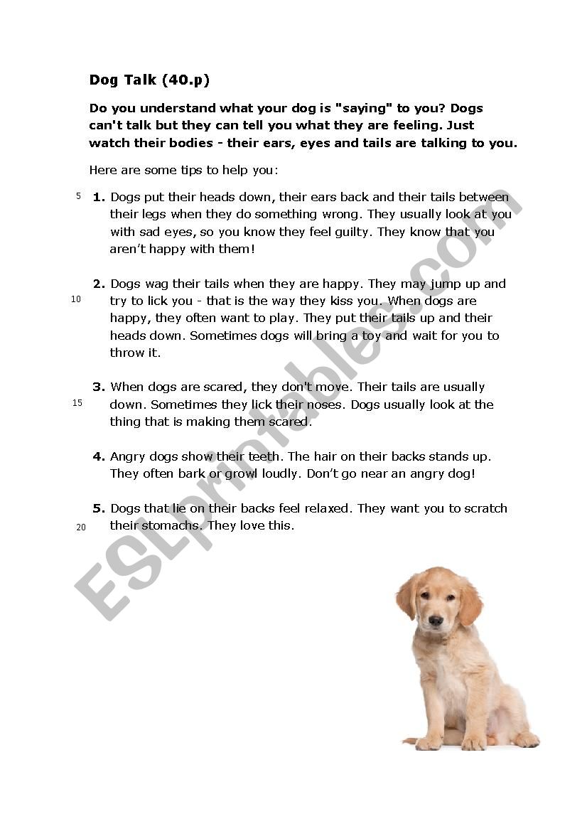 A dog talk - reading comprehension quiz