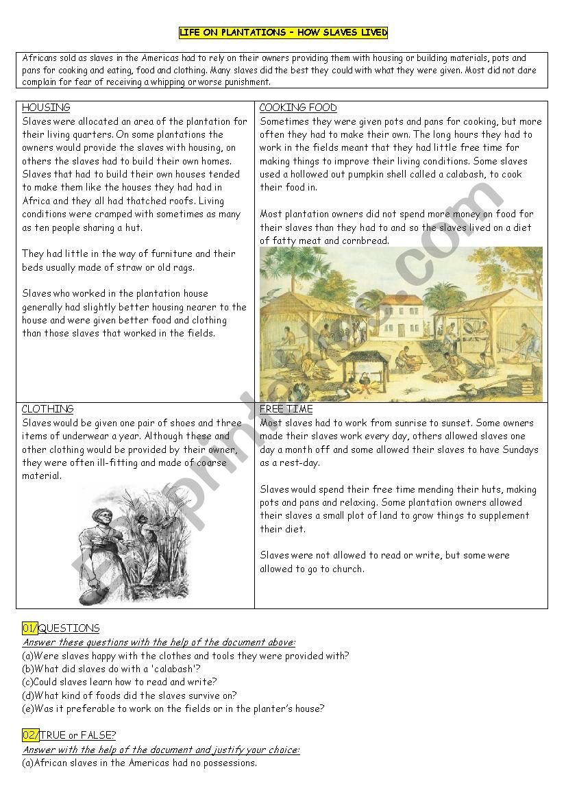 Life on Plantations (could/couldnÂ´t)(texte + questions)