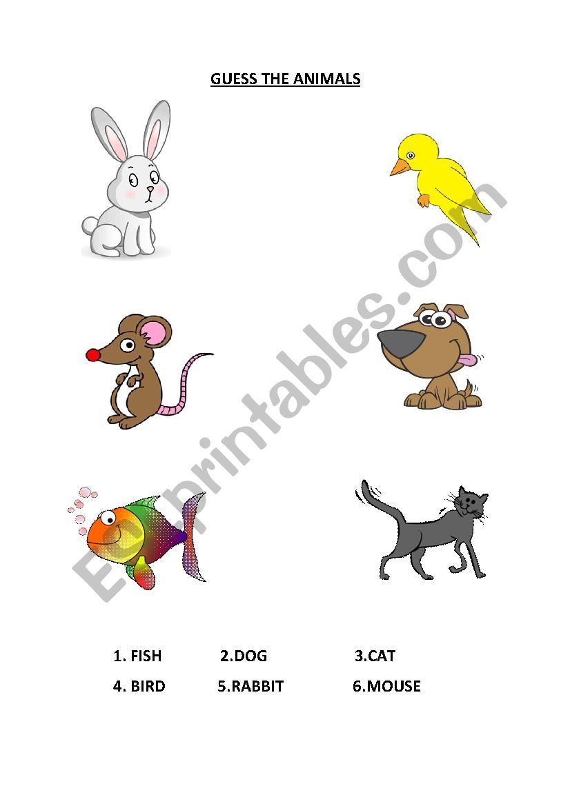 The Animals worksheet