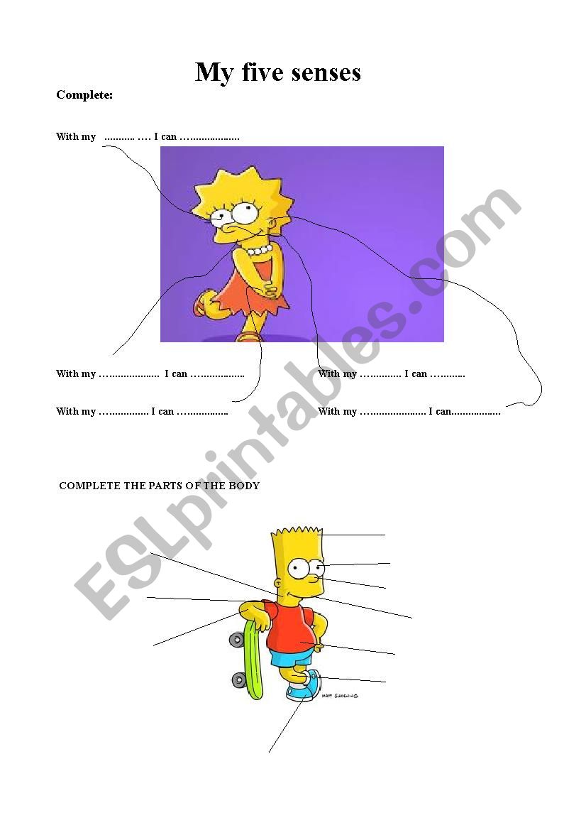   parts of the body worksheet