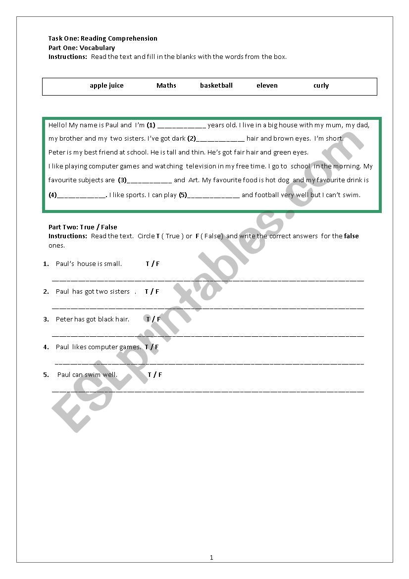 reading comprehension worksheet