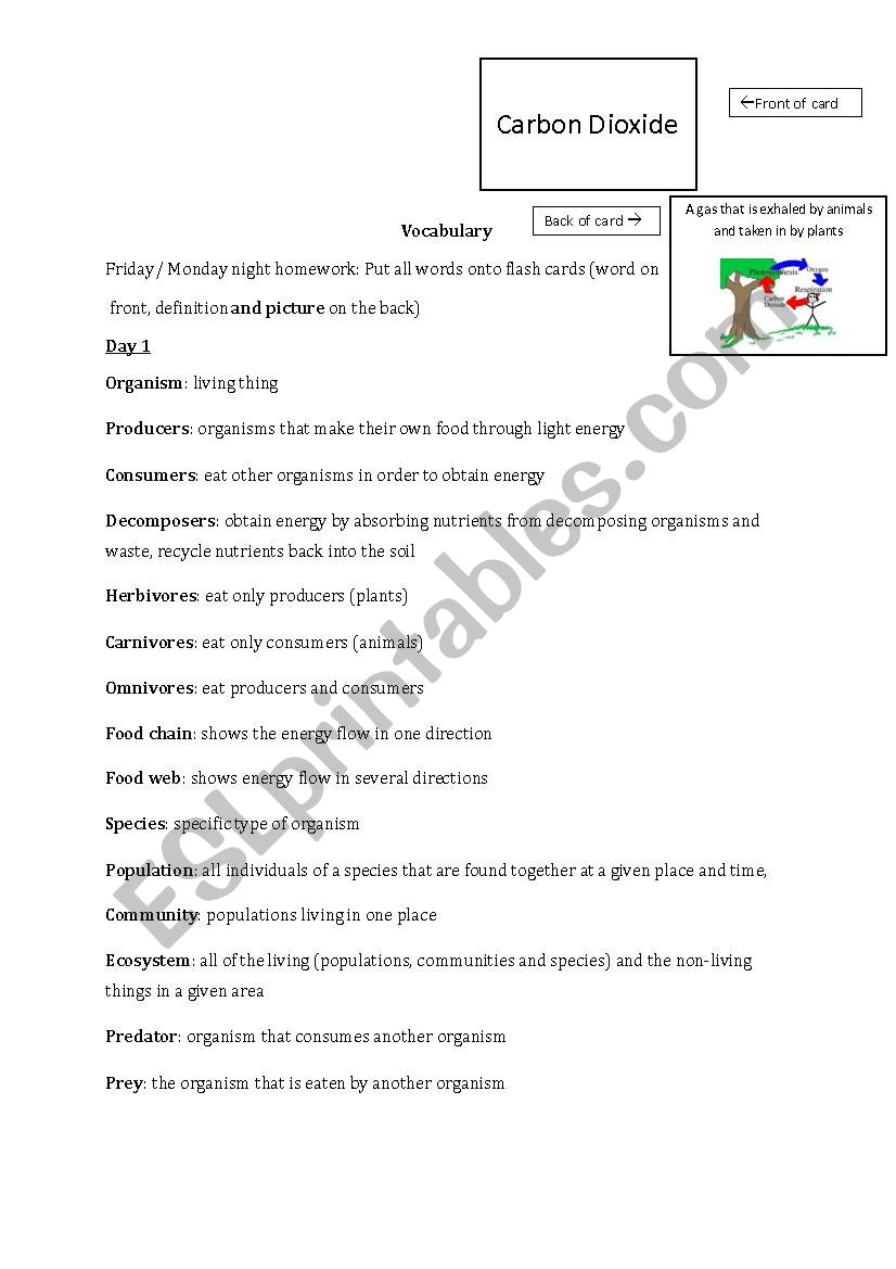 Ecosystems Vocabulary worksheet