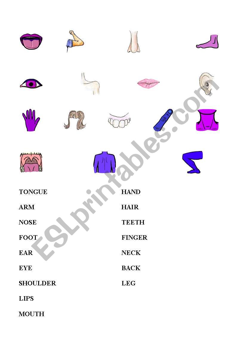 Match Body parts worksheet