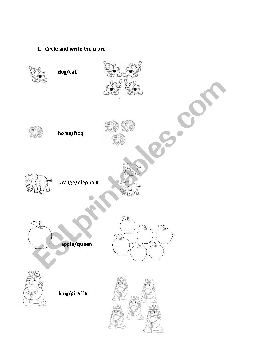 Plurals worksheet