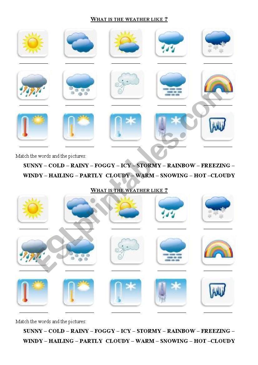 Weather Worksheet worksheet
