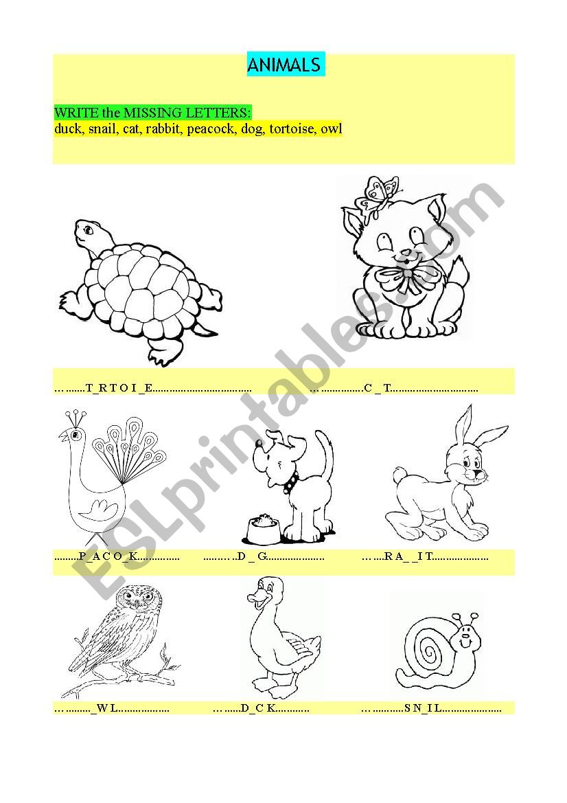 ANIMAL ZONE worksheet