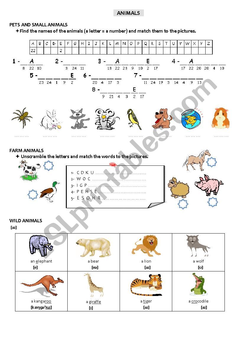 Animals worksheet