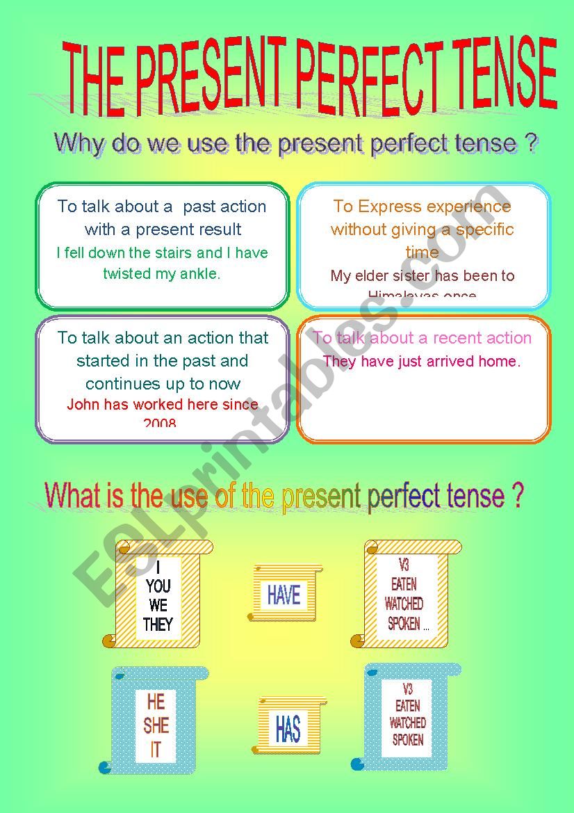 the present perfect tense  worksheet