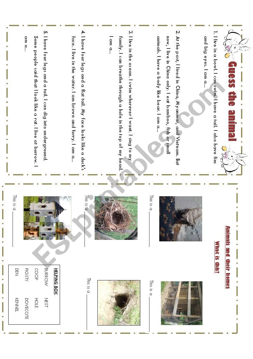 Animal House worksheet