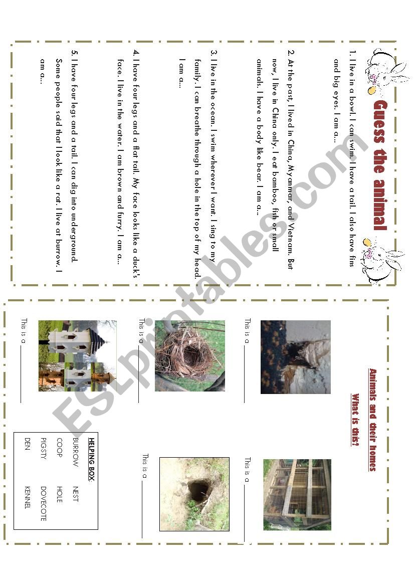 Animal House worksheet