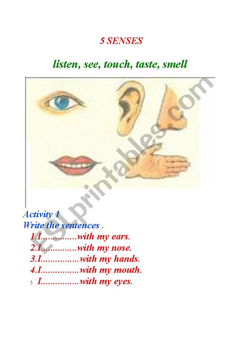 The Five Senses worksheet